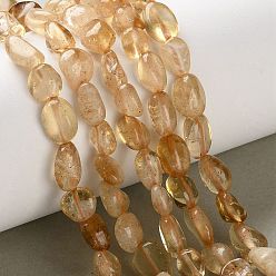 Citrine Natural Citrine(Heated) Beads Strands, Nuggest, 8~14x6~8x4~7mm, Hole: 0.9mm, about 46~48pcs/strand, 15.35~15.47''(39~39.3cm)