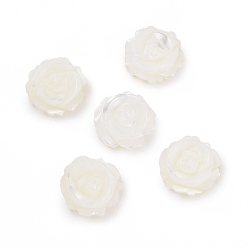 Blanc Perles naturelles de coquillages blancs, perles en nacre, la moitié foré, fleur, blanc, environ 8 mm de diamètre, épaisseur de 4mm, Trou: 0.5mm