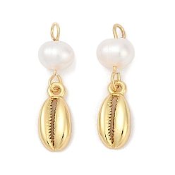 Настоящее золото 18K Подвески из натурального пресноводного жемчуга и латуни, раковины прелести, стойки покрытие, без кадмия и без свинца, долговечный, реальный 18 k позолоченный, 23.5x6.5x5.5 мм, отверстие : 2 мм