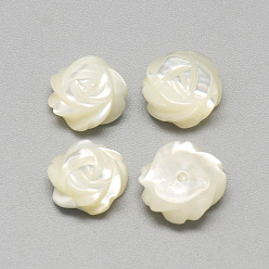 Coquillage De Mer Cabochons en nacre blanche, fleur, couleur de coquillage, 9~10x4mm