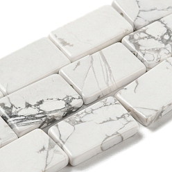 Говлит Природные Говлит бисер нитей, прямоугольные, 20x12x3 мм, отверстие : 1 мм, около 20 шт / нитка, 15.75'' (40 см)