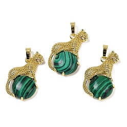 Малахит Синтетический малахитовый шар с латунными подвесками в форме леопарда, стойки покрытие, без кадмия и без свинца, долговечный, 35x22x6.5 мм, отверстие : 7x3.5 мм