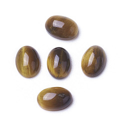 Тигровый глаз Природных тигровый глаз кабошонов, овальные, 7x5x2~3 мм