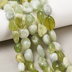 Сюянь Нефрит Природного нефрита Xiuyan бисер нитей, самородки, упавший камень, 10~14x10~12x4~7 мм, отверстие : 1 мм, около 36~43 шт / нитка, 13.78~15.35'' (35~39 см)