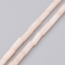 Папайя Оранжевый Природные оболочки нитей бисера, окрашенные, колонка, papayawhip, 6x2 мм, отверстие : 0.5 мм, около 67 шт / нитка, 15.2 дюйм