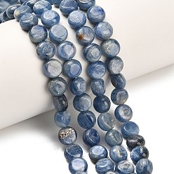 Кианит Натуральный кианитовые бисер пряди, плоско-круглые, 8~8.5x4.5~5.5 мм, отверстие : 0.8 мм, около 52 шт / нитка, 15.75'' (40 см)