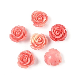 Светло-Вишневый Синтетические бусины, окрашенные в ракушки, цветок, два тона, светло-вишневый, 14x9 мм, отверстие : 1.4 мм