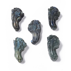 Labradorite Natural Labradorite Cabochons, Chinese Cabbage, 41~43.5x20~23.5x9~14mm