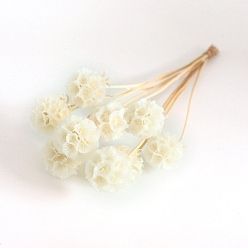 Кукурузный Шелк Искусственный цветок, сухоцвет для украшения свадьбы, рождества, домашний декор своими руками, цвет колоса кукурузы, 200~300 мм, цвет: 25 mm в диаметре