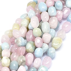 Morganite Natural Morganite Beads Strands, Oval, 11~14x8.5~11mm, Hole: 1.2mm, about 29~33pcs/strand, 15.3 inch