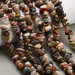 Alashan Agate Бусы из натурального алашанского агата, чип, 5~14.5x4~8x3.5~6 мм, отверстие : 0.7~0.8 мм, 31.89~32.05'' (81~81.4 см)