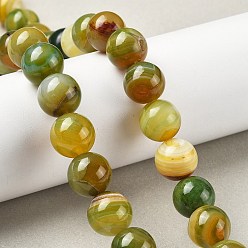 Цвет Оливы Природные многоцветные агат бисер пряди, окрашенная и подогревом, круглые, оливковый, 14 мм, отверстие : 1.5 мм, около 28 шт / нитка, 15.31'' (38.9 см)