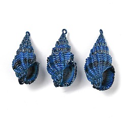 Королевский синий Покрашенные брызги естественные спиральные подвески раковины, подвески в форме ракушек, королевский синий, 36~40.5x17~19.5x15~16.5 мм, отверстие : 1.6~1.8 мм