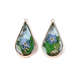 Cornflower Blue Epoxy Resin Pendants, Teardrop & Dried Flower Charms, with Sequins & Glitter Powder & Light Gold Plated Brass Edge and Loop, Cornflower Blue, 30.5x16x5~6mm, Hole: 1.6mm