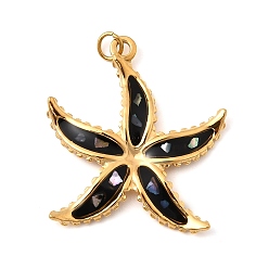 Черный 304 нержавеющей стальной эмали подвески, прелести морская звезда, ионное покрытие (ip), реальный 18 k позолоченный, чёрные, 26.5x24x2 мм, отверстие : 2.5 мм