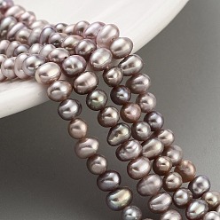 Rosy Brown Natural Cultured Freshwater Pearl Beads Strands, Potato, Rosy Brown, 3.8~4.2mm, Hole: 0.6mm, about 43pcs/strand, 6.50 inch(16.5cm)