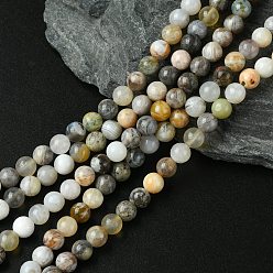 Бамбуковые Листья Агат Натуральный бамбук лист агата стренг круглый шарик, 6 мм, отверстие : 1 мм, около 62 шт / нитка, 15.5 дюйм