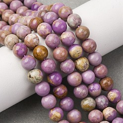 Лепидолит Натуральный лепидолит / пурпурный слюдяный камень бисер пряди, круглые, 6.5~7 мм, отверстие : 0.9 мм, около 60 шт / нитка, 15.55'' (39.5 см)