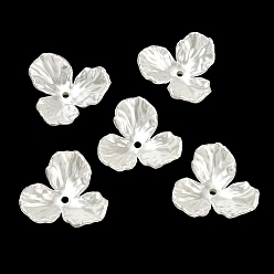 Белый 3-лепестковые колпачки для бусин из АБС-пластика с имитацией жемчуга, цветок, белые, 27.5x29x7 мм, отверстие : 2 мм