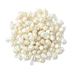 Platinum 10Pcs Natural Cultured Freshwater Pearl Pendants, with Brass Findings and 304 Stainless Steel Jump Rings, Platinum, 13~15mm