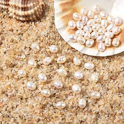 Морская Ракушка 10шт. натуральные пресноводные жемчужные бусины, рис, цвет морской раковины, 4~7.5x3~4 мм, отверстие : 0.6 мм