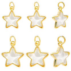 Настоящее золото 18K 10 шт 2 стили латунные подвески, звезда со стеклом и блестящей пудрой, долгоиграющий, без свинца и без кадмия, реальный 18 k позолоченный, 11~14.5x9~13x4~4.5 мм, отверстие : 2~3 мм