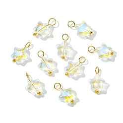Прозрачный АВ Стекло подвеска, с латунной фурнитурой , звезда, золотые, ясно AB, 14 мм, отверстие : 2.5 мм, 10 шт / комплект