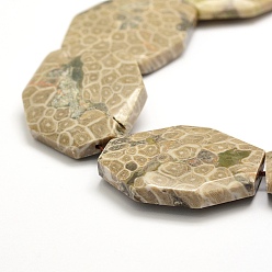 Fossil Coral Natural Fossil Coral Beads Strands, Faceted, Oval, 44x34~35x9~11mm, Hole: 0.8~1.5mm, about 9pcs/strand, 15.7 inch(40cm)