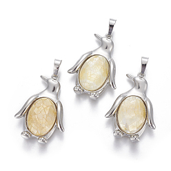 Светло-хаки Подвески из раковины, с латунной фурнитурой , пингвин, платина, светлый хаки, 34~35x24~25x5~8 мм, отверстие : 8x5 мм