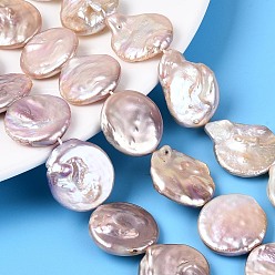 Сливовый Натуральный жемчуг в стиле барокко кеши, зарождающаяся жемчужина, плоско-круглые, слива, 19~30x18.5~22x3~11 мм, отверстие : 0.6 мм, около 15~19 шт / нитка, 14.96~15.75 дюйм (38~40 см)