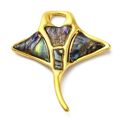 Настоящее золото 18K 304 подвески из нержавеющей стали с натуральными ракушками пауа/абалона, амулеты в виде рыб-манта, вакуумное покрытие pvd, реальный 18 k позолоченный, 29.5x25.5x3 мм, отверстие : 3.5 мм