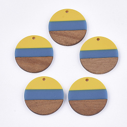 Золотистый Подвески из трехцветной смолы и ореха, плоско-круглые, золотые, 28x3.5 мм, отверстие : 2 мм