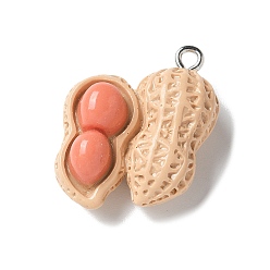 Peanut Подвески из смоляного железа, искусственные растительные темы, арахис, 24.5x20x10 мм, отверстие : 2 мм