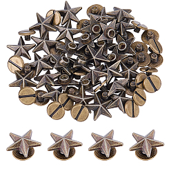 Bronze Antique 60 Jeu de rivets convexes en alliage de zinc pour sacs, avec vis en fer, pour sac à main sac à main chaussures punk rock cuir artisanat vêtements ceinture, bronze antique, 12x13x5mm, Trou: 2.5mm