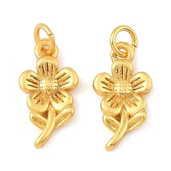 Настоящее золото 24K Латунные подвески, , долговечный, без свинца и без кадмия, с целью перехода в кольце, реальный 24 k позолоченный, 14x7x2 мм, отверстие : 2 мм