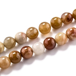 Natural Agate Natural Petrified Wood Agate Beads Strands, Round, 6.5mm, Hole: 1mm, about 63pcs/strand, 15.55 inch(39.5cm)