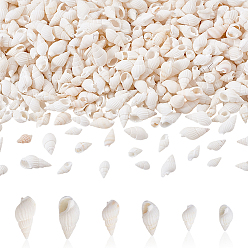 Морская Ракушка 450 шт. 3 стили натуральные спиральные бусины из ракушек, формы раковины, без отверстия , цвет морской раковины, 10~31x5~10x5~9 мм