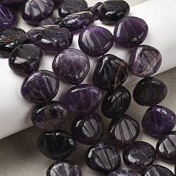 Аметист Нити из резных бусин из натурального аметиста, формы раковины, 14~15x16~17x6~7 мм, отверстие : 1 мм, около 28~29 шт / нитка, 15.35~15.55'' (39~39.5 см)