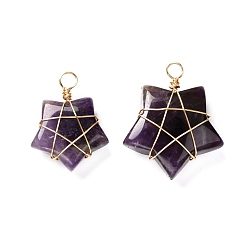 Amethyst Natural Amethyst Pendants, with Real 18K Gold Plated Eco-Friendly Copper Wire, Star, 25~34x19~29x9~10.5mm, Hole: 4~4.5mm