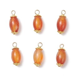 Натуральный Агат 6 шт. подвесок из натурального агата (окрашенного и подвергнутого термической обработке), рисовые прелести, с результатами сплава и 304 нержавеющей стали, золотые, красные, 19.5x8 мм, отверстие : 2~2.5 мм
