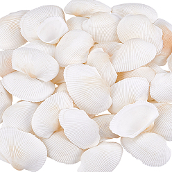 Морская Ракушка 40 шт. натуральной ракушки для украшения аквариума, цвет морской раковины, 21~38x25~57x7.5~17 мм