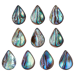 Разноцветный 1 нить из натуральных бусин из ракушек абалон/пауа, слеза, Топ пробуренной, с пластиковыми трубчатыми бусинами, красочный, 16x12x2~4 мм, отверстие : 0.7 мм, около 10 шт / нитка, 16.93 дюйм (43 см)