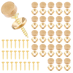 Light Gold 24шт. 3 виды железных винтов, с латунной гайкой, золотой свет, 12x5 мм