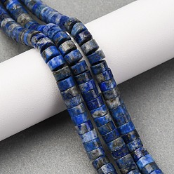Lapis Lazuli Natural Lapis Lazuli Beads Strands, Disc, Heishi Beads, 6x3.5mm, Hole: 0.8mm, about 113~114pcs/strand, 14.92''(37.9cm)~15.08''(38.3cm)