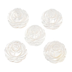 Морская Ракушка Резные подвески из натуральных белых ракушек, , цвет морской раковины, 21x21x2 мм, отверстие : 1 мм