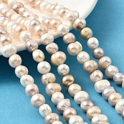 Мокасин Нити из натурального культивированного пресноводного жемчуга, картофель, класс +, мокасин, 7~10x7~8.5 мм, отверстие : 0.8 мм, около 44~45 шт / нитка, 13.23~13.66 дюйм (33.6~34.7 см)