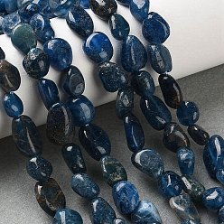 Апатит Природного апатита нитей бисера, самородки, упавший камень, 7~14x5~8x5~8 мм, отверстие : 0.9~1 мм, около 42~43 шт / нитка, 15.16~15.51 дюйм (38.5~39.4 см)