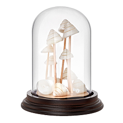 Прозрачный Стеклянный купол, декоративная витрина, террариум в форме колокола с основанием из сандалового дерева, прозрачные, 111x130 мм