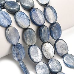 Синий Натуральный кианитовые бисер пряди, форма яйца, синие, 16.5~17.5x12.5x3.5~4.5 мм, отверстие : 0.8 мм, около 23~25 шт / нитка, 15.59'' (39.6 см) ~ 15.75'' (40 см)