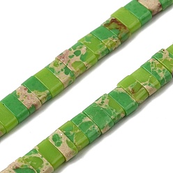 Желто-Зеленый Синтетический регалит / имперская яшма / морские отложения, окрашенные, 2-луночное, прямоугольные, желто-зеленый, 2.5~3x5x2.5 мм, отверстие : 0.8 мм, около 138~140 шт / нитка, 15.28''~15.31'' (38.8~38.9 см)